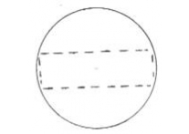 Circle 45mm - 1853